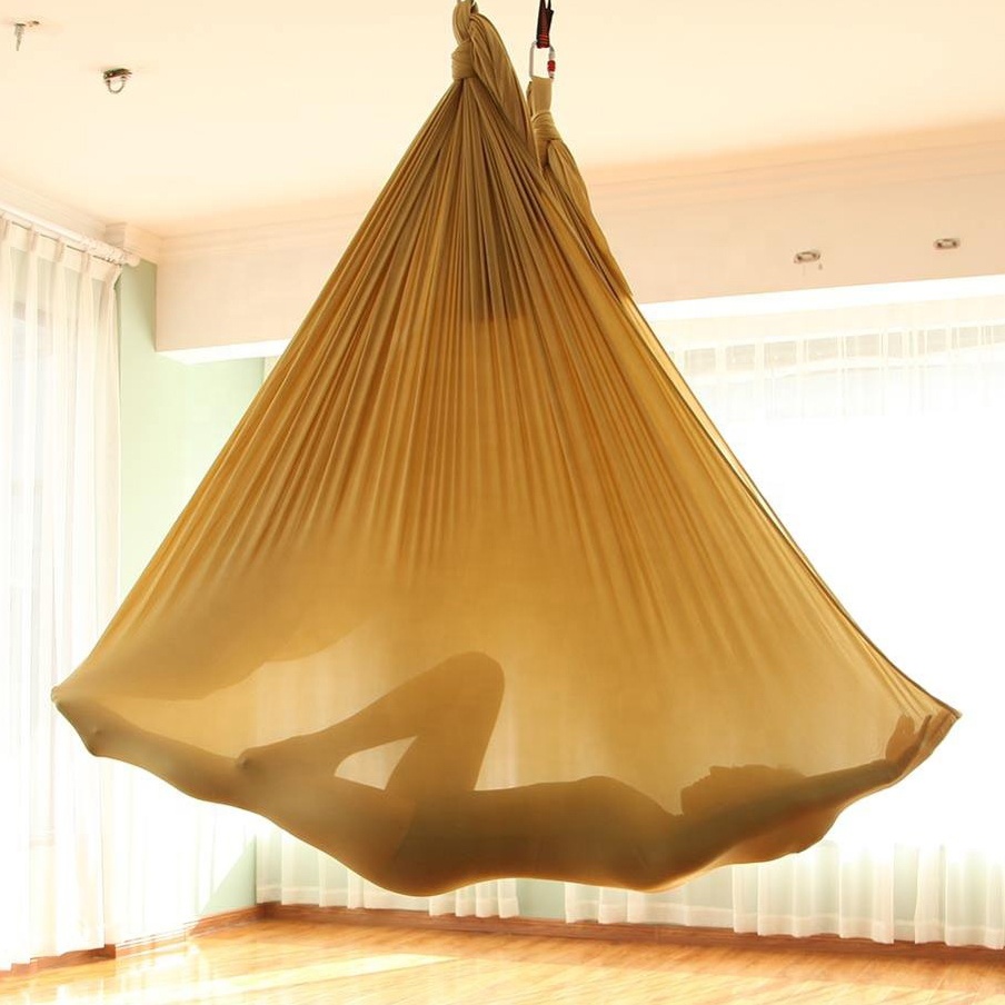 Yoga Hammock - Premium Aerial Silk Yoga Swing for Antigravity Yoga, Inversion Exercises, Improved Flexibility & Core Strength - Extension Straps, Carabiners and Pose Guide Included